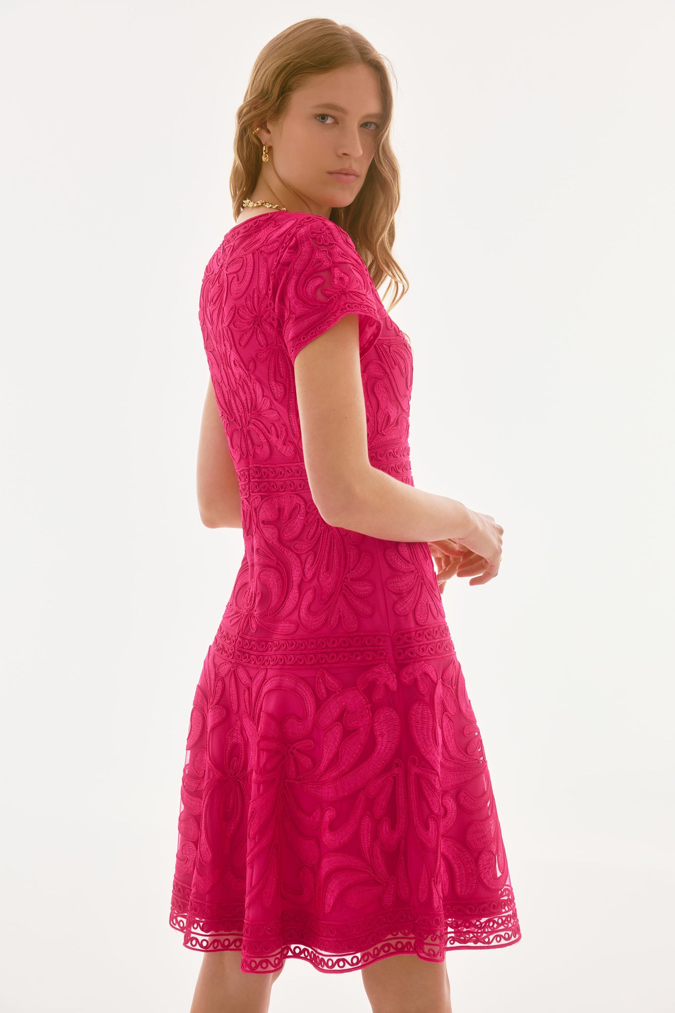 Embroidered Mesh Fit and Flare Dress