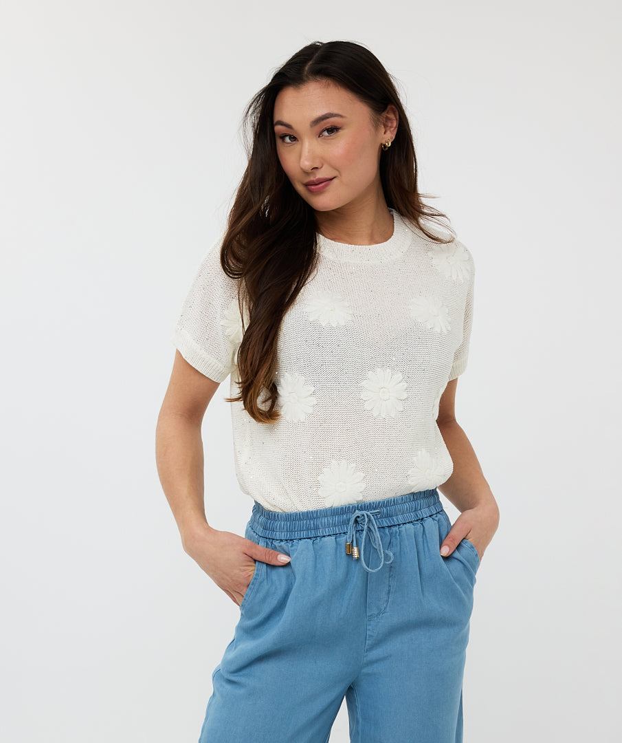 Short Sleeve Embroidered Top
