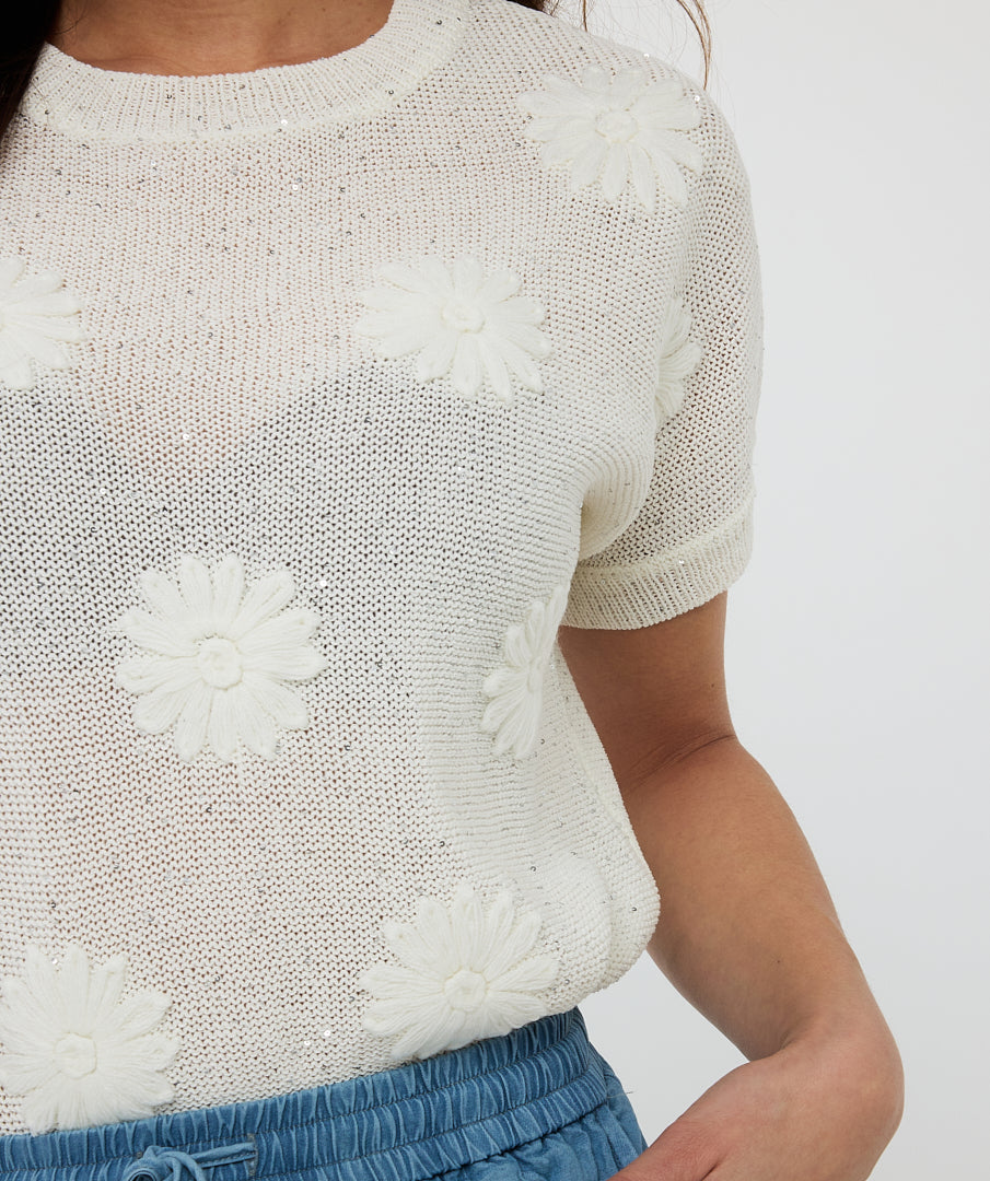 Short Sleeve Embroidered Top