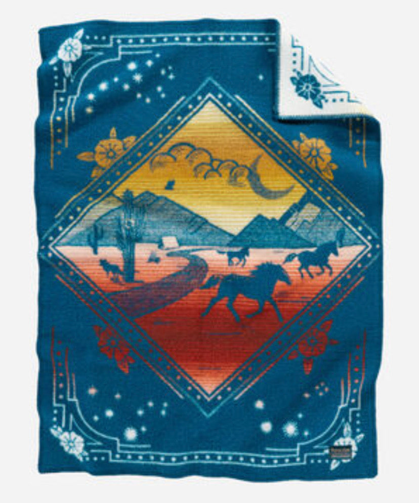 Wind Riders Crib Blanket