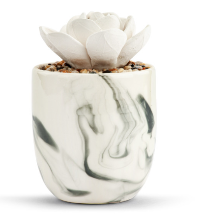 Succulent Oil Diffuser
