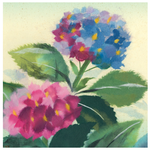 ArtLifting Rectangle Scarf | Hydrangea Ajisai
